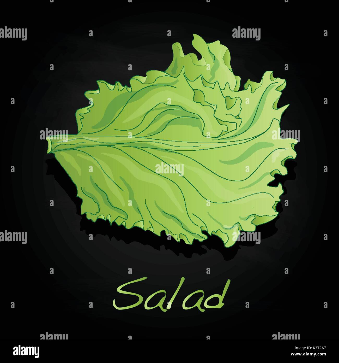 fresh green lettuce salad leaves isolated Stock Vector Image & Art - Alamy