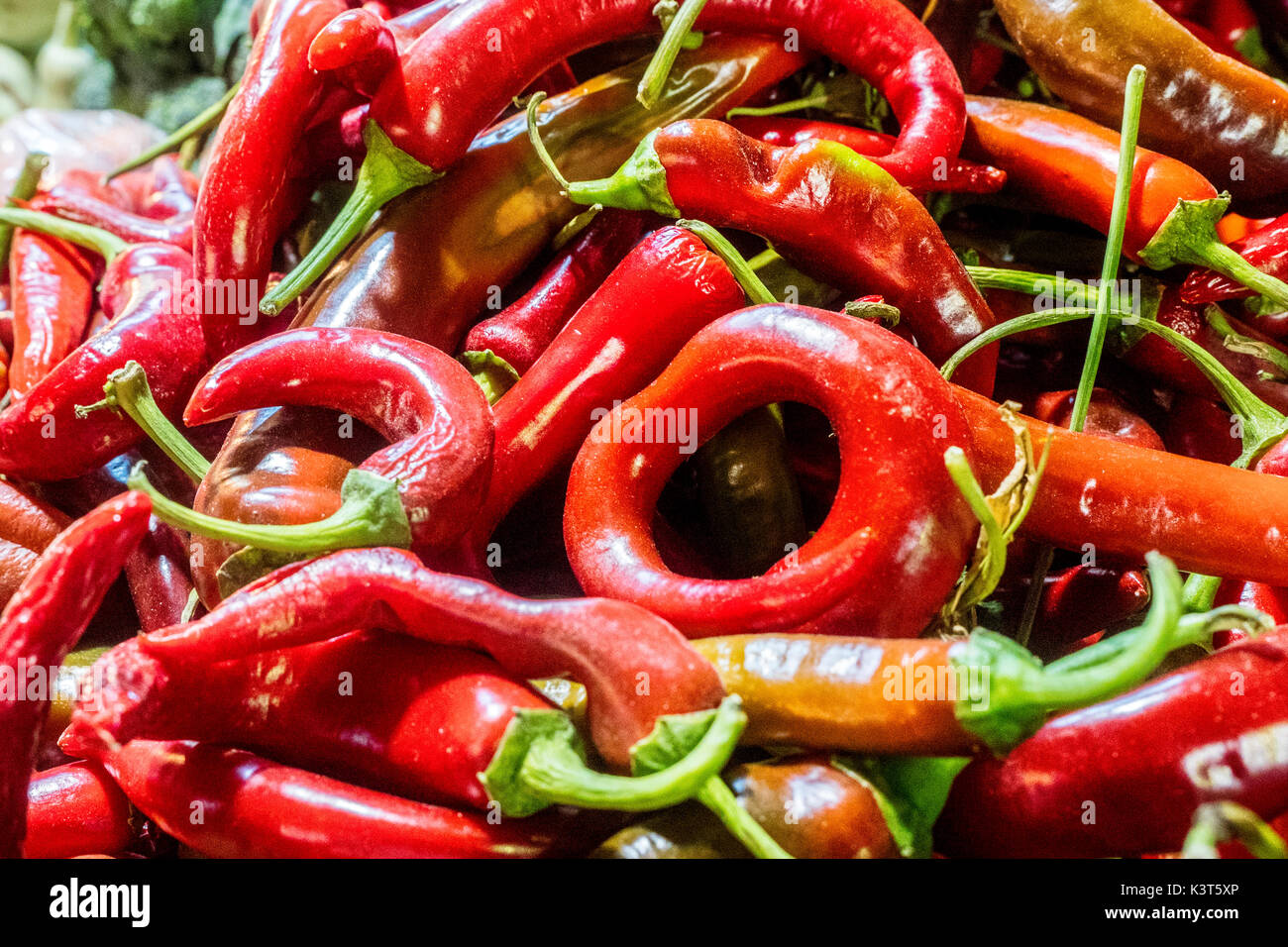 Red Hot Chilis for sale in a Jordanian fruit shop. Stock Photo