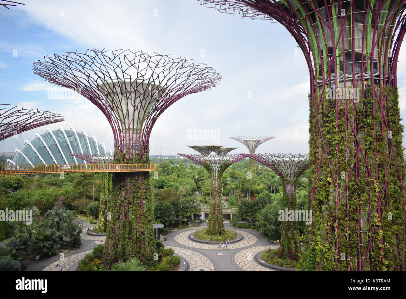 Take A Scenic Stroll, 22 Metres Above Ground, In The Very Heart Of Nature. Stock Photo