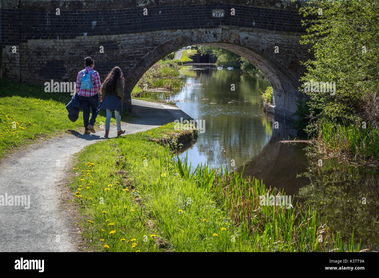 Montgomeryshire canal near Berriew with bridge over canal Stock Photo