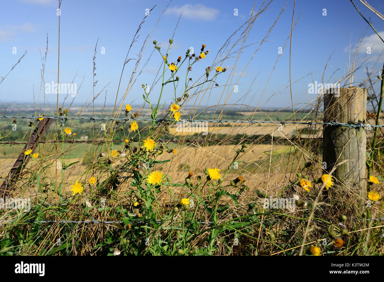 Fence Post Flowers High Resolution Stock Photography and Images - Alamy