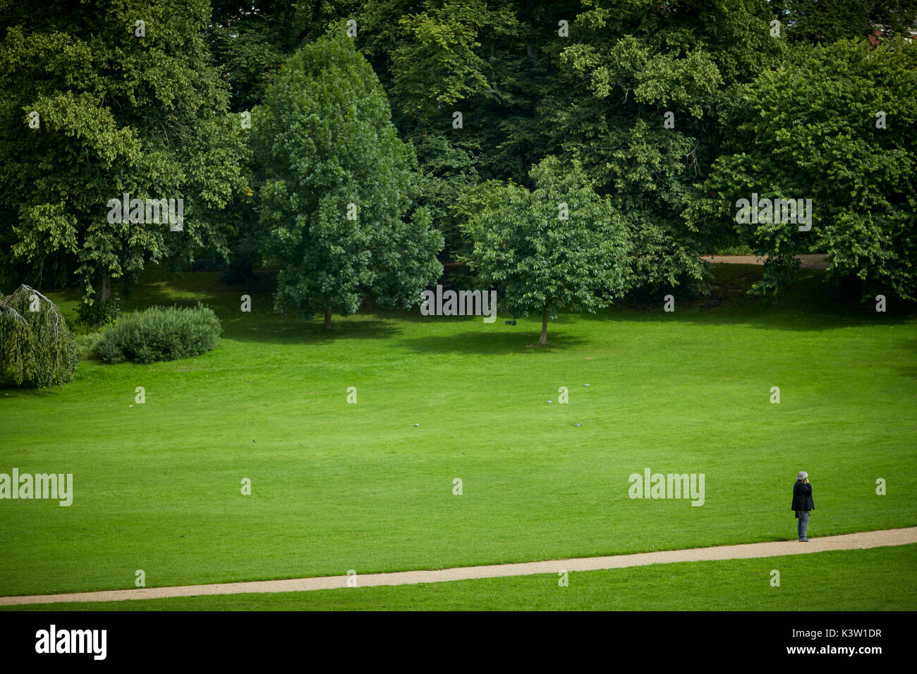 Trees and lawns, in public green space Avenham and Miller Parks in  Preston lancashire, Stock Photo
