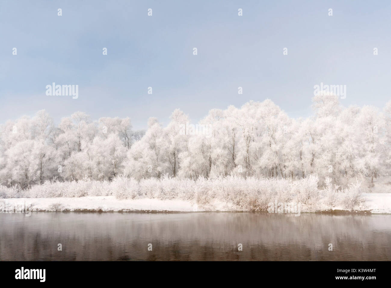Plain Piedmont, Piedmont,Turin, Italy. Hoar frost trees on the Po river Stock Photo