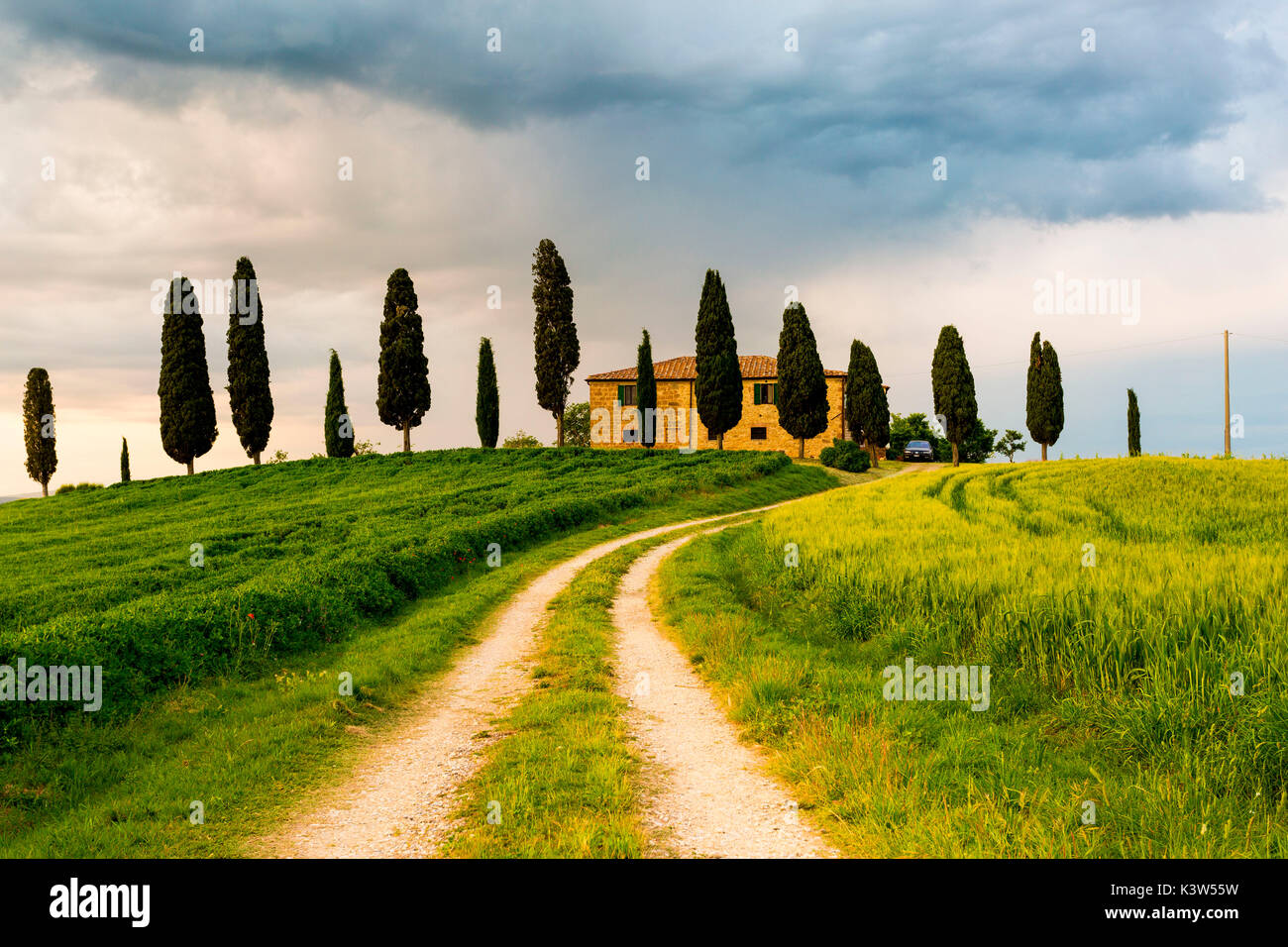 Val d'Orcia, Tuscany, Italy. A lonely farmhouse with cypress trees standing in line in foreground. Stock Photo