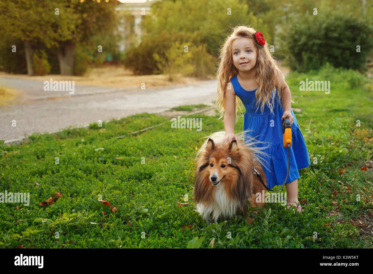 Cute little girl with a dog Sheltie breed. Best friends forever. Dog