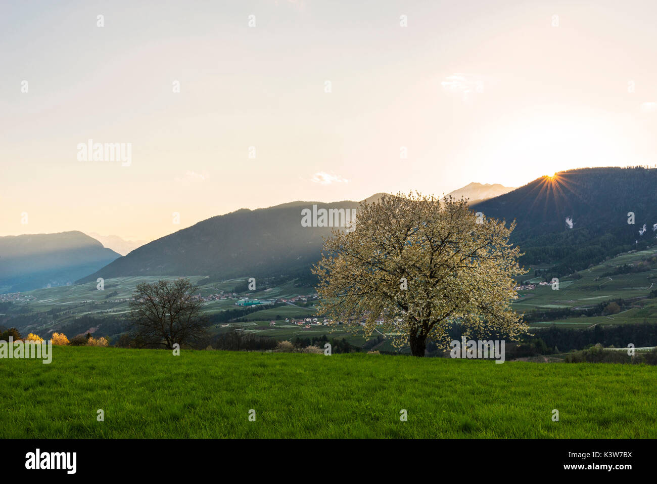 Italy, Trentino Alto Adige, prairies of Non valley in a spring day. Stock Photo