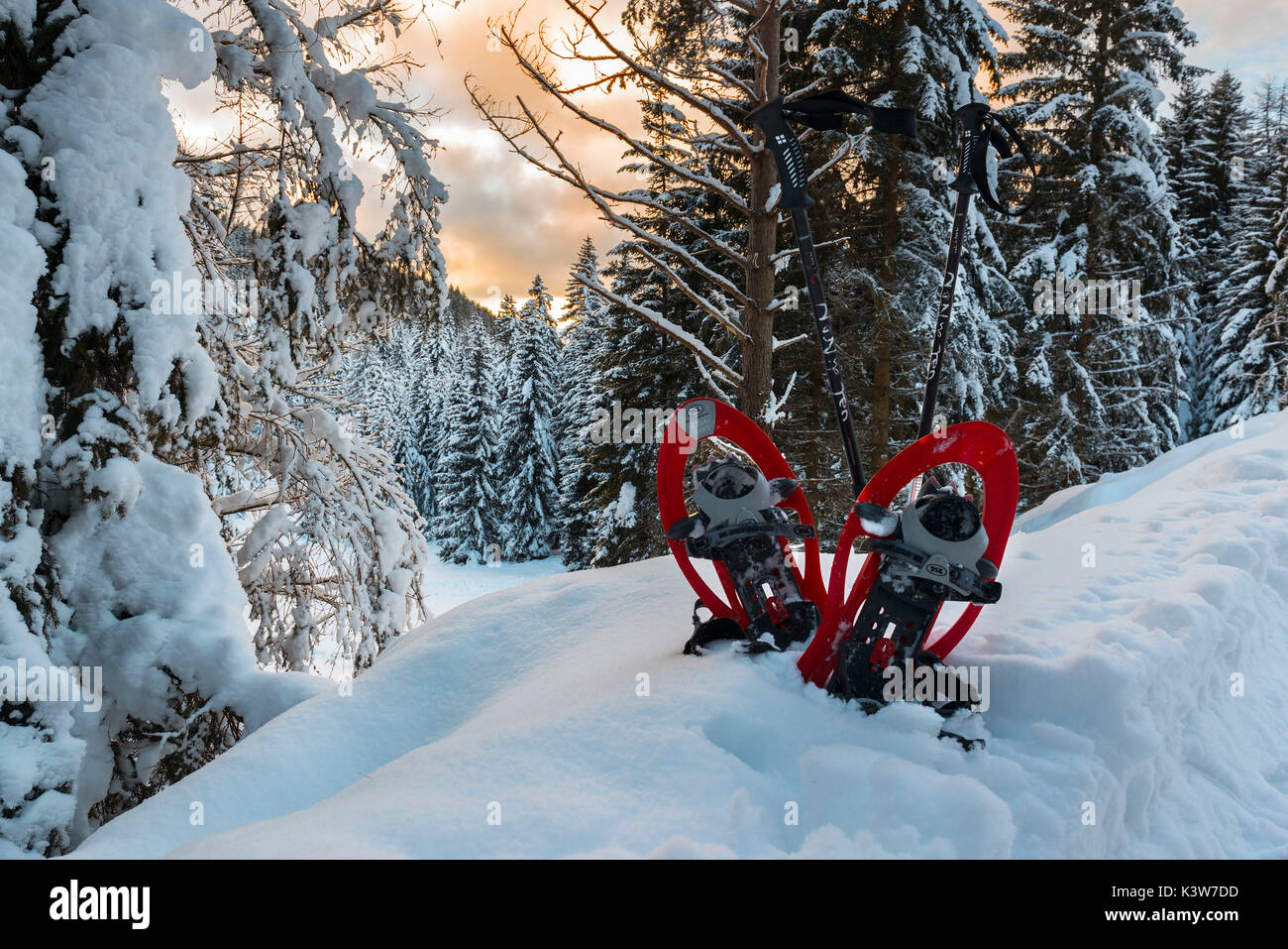Europe, Italy, Trentino Alto Adige, Non valley. snowshoes in the snow and in the background the many snow-covered trees. Stock Photo