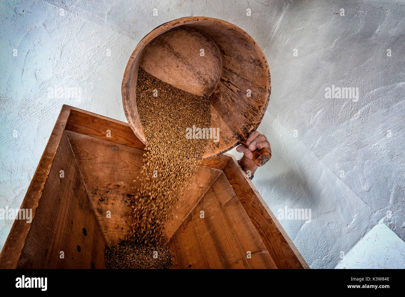 Italia, Trentino Alto Adige, Val di Non,  grinding rye. Stock Photo