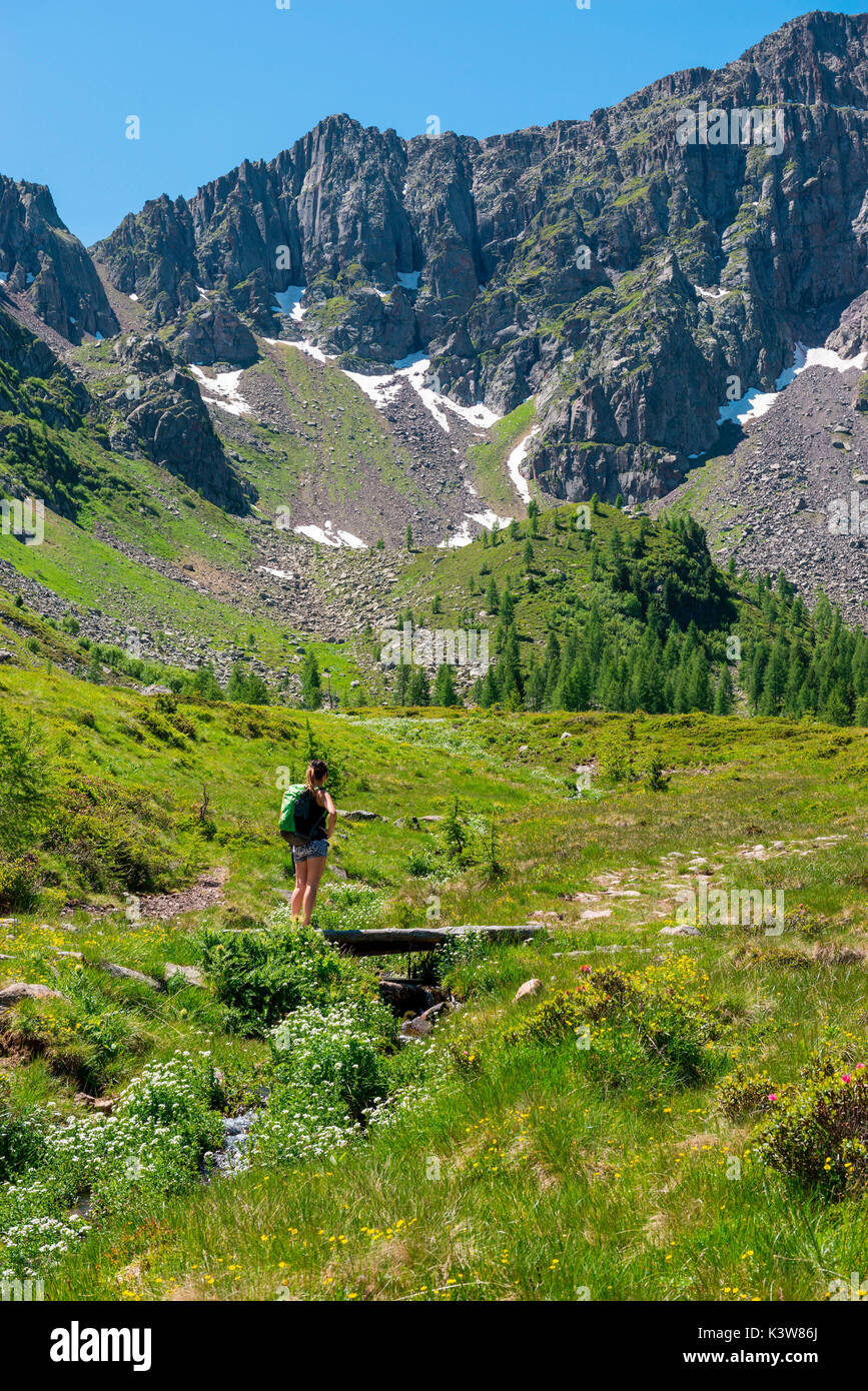 Italy, Trentino Alto Adige, San Pellegrino pass, Hiker on his way to the Cimon di Bocche peack along the trial n.628 from the San Pellegrino pass. Stock Photo