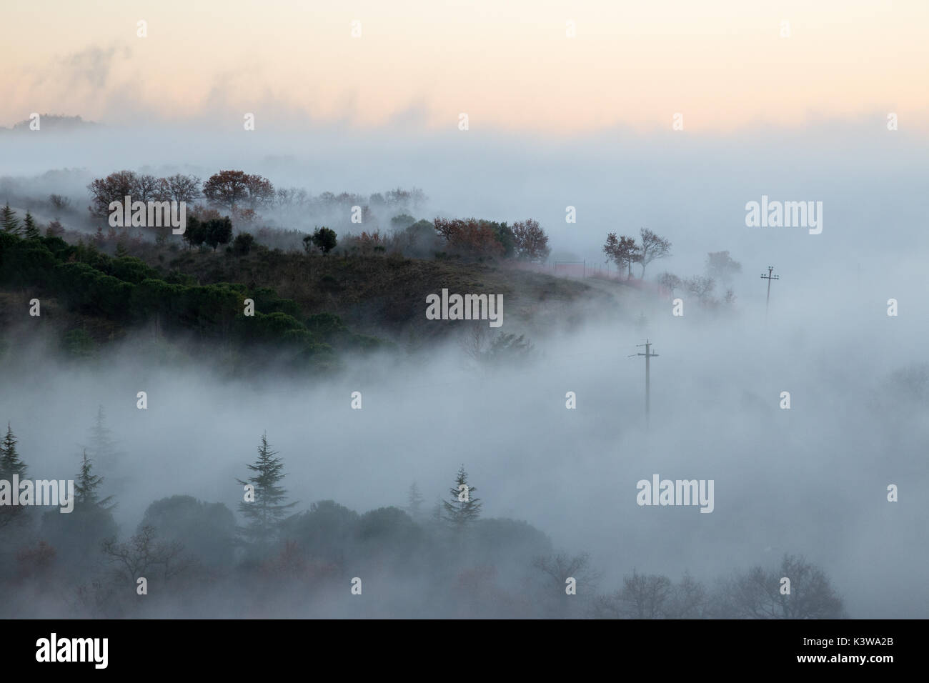 Hills and trees emerging from a sea of fog with warm sunset colors Stock Photo