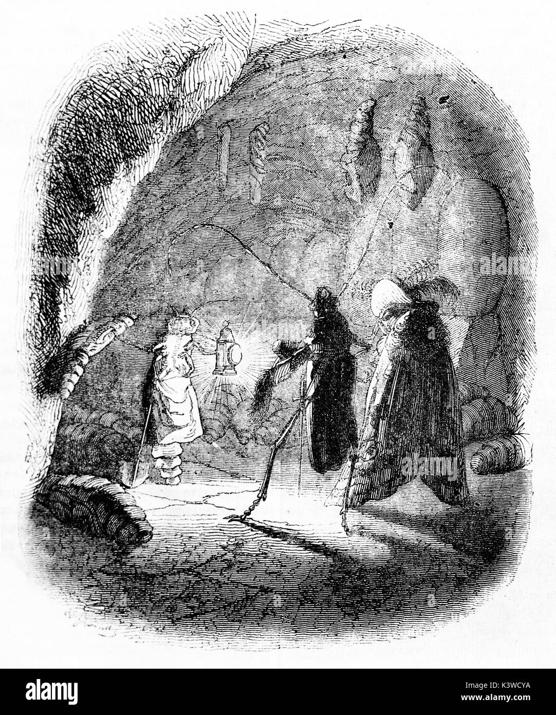 Cave insects Cut Out Stock Images & Pictures - Alamy
