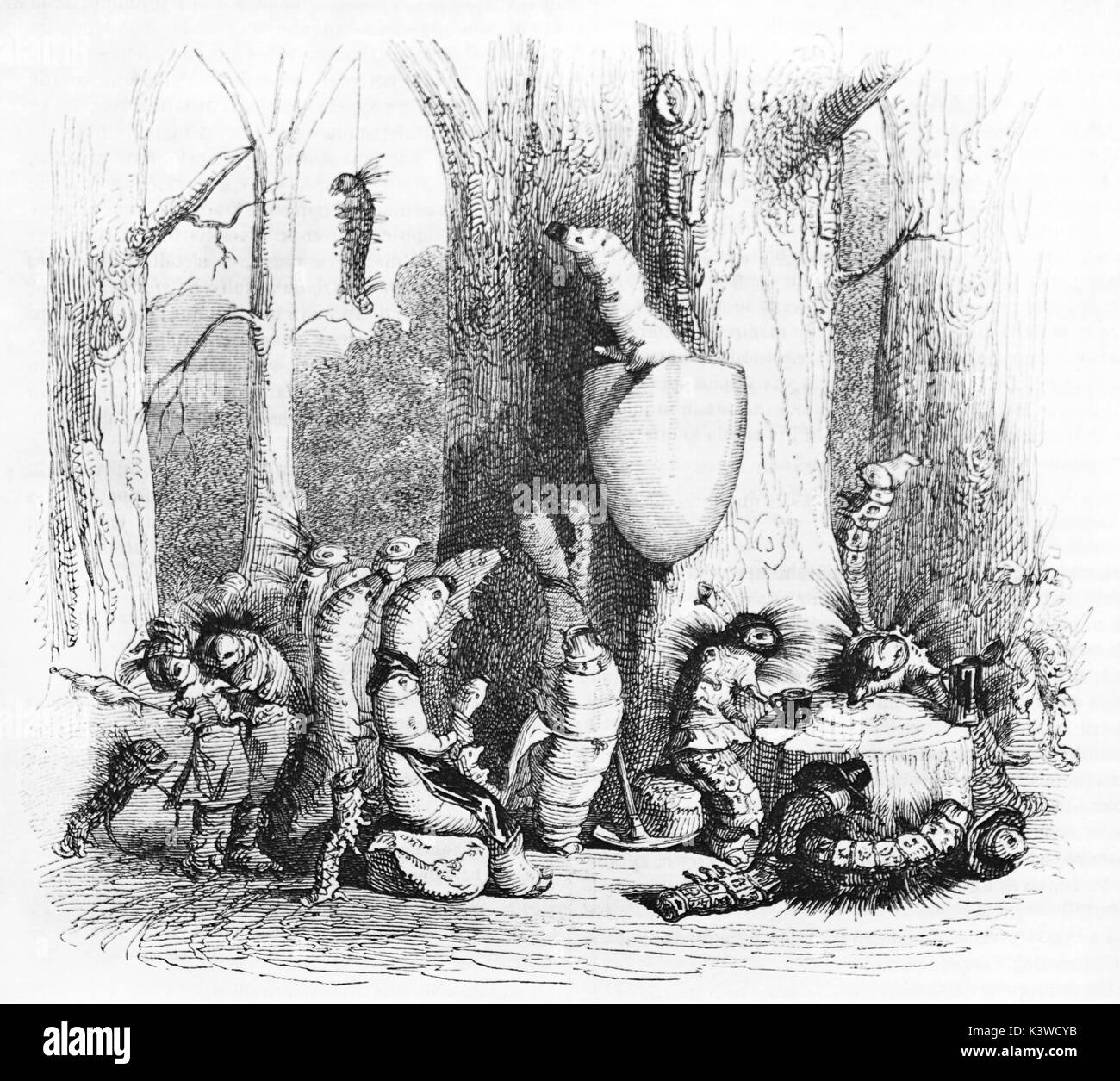 Old illustration of manlike pupas. By Grandville, published on Magasin Pittoresque, Paris, 1841 Stock Photo