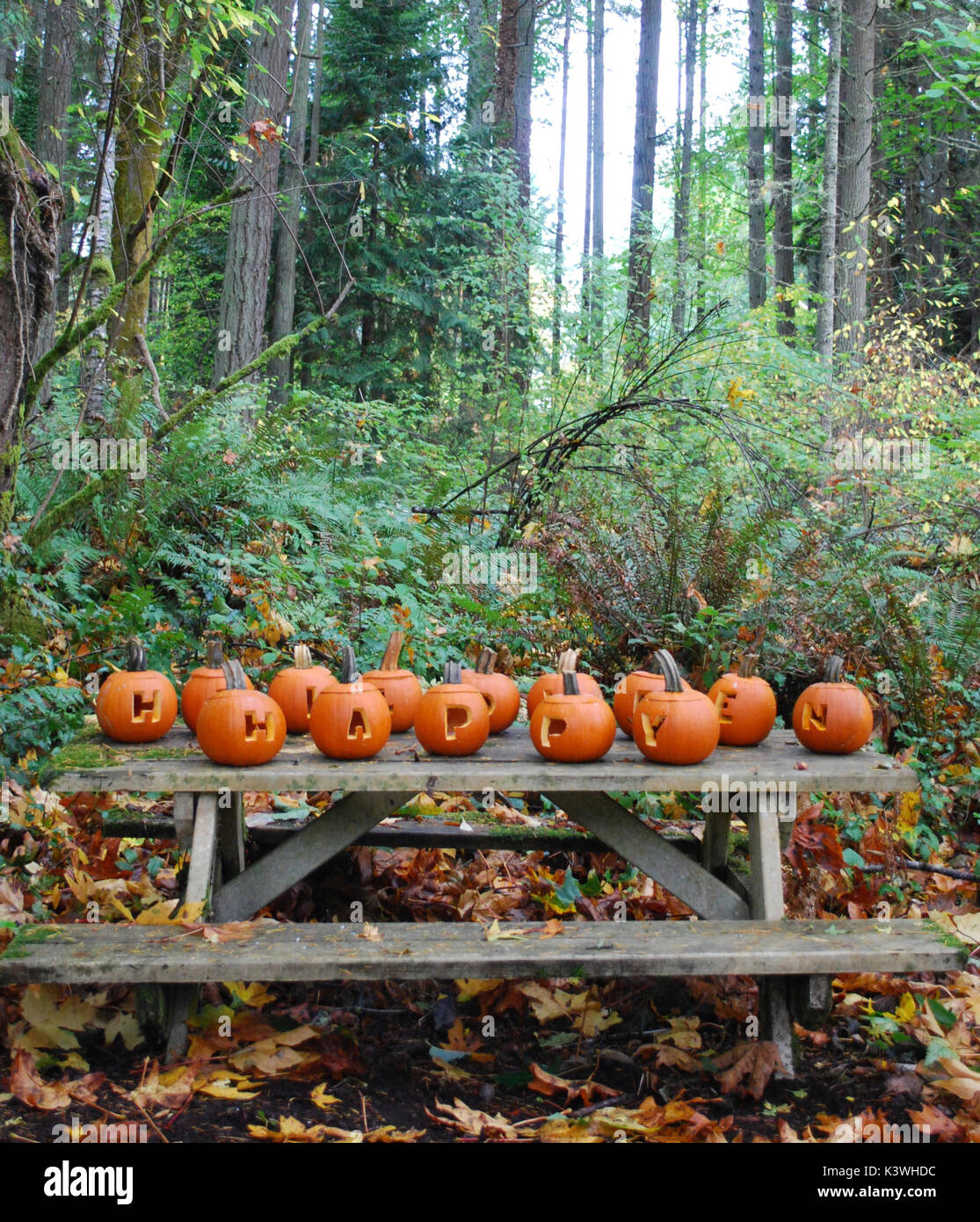 Happy pumpkins hi-res stock photography and images - Alamy