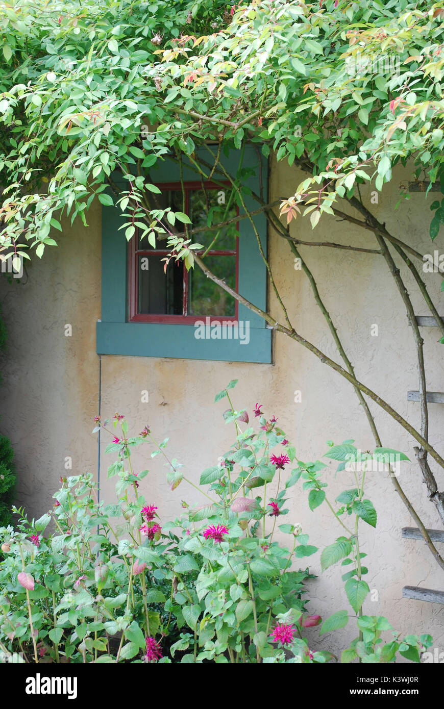 Woodinville hires stock photography and images Alamy