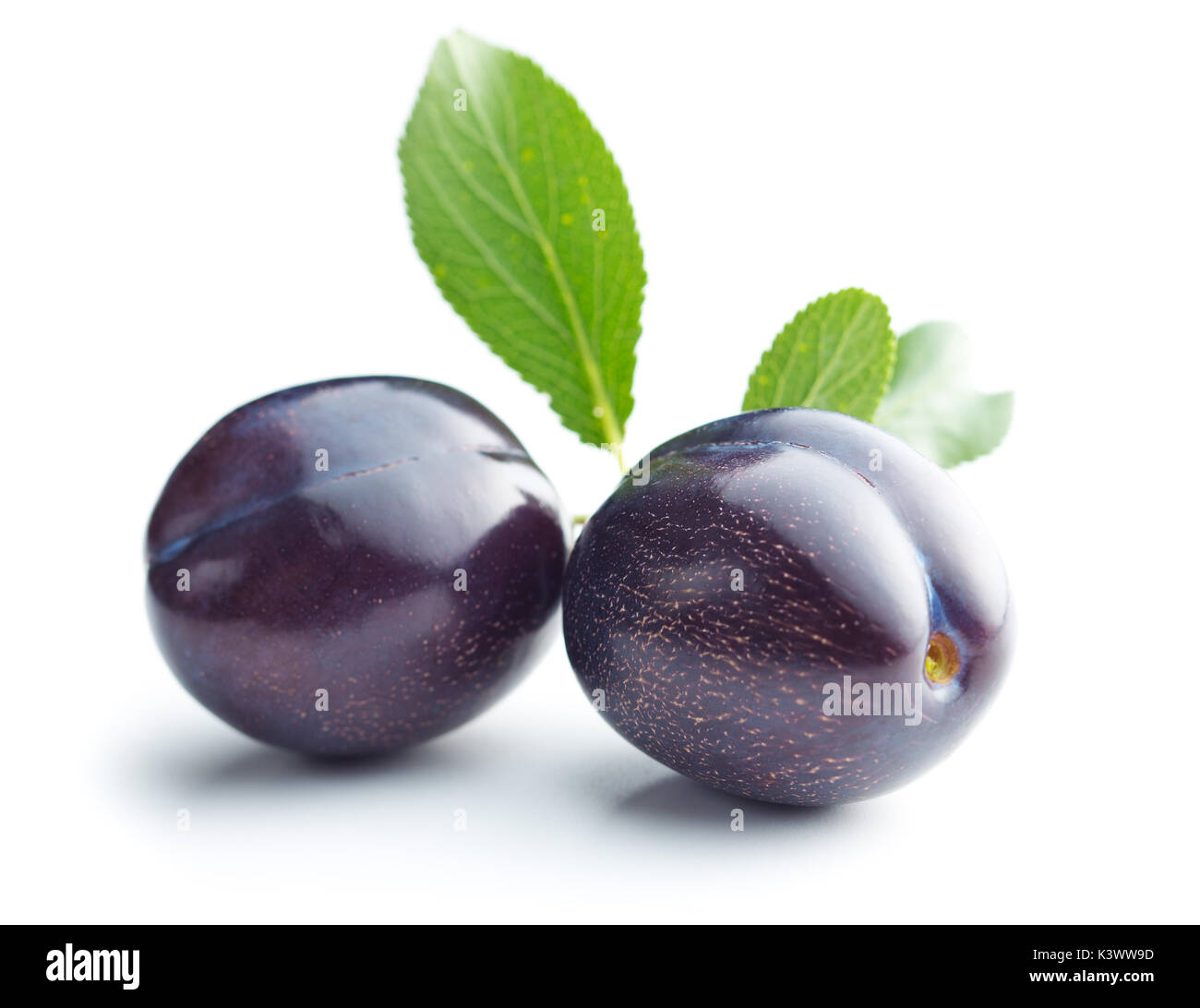 Fresh plums with branch with leaf isolated on white background. Stock Photo