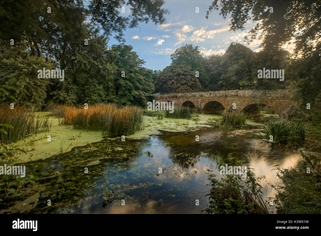 Stour Meadows, Blandford Forum, Dorset, England, UK Stock Photo Alamy