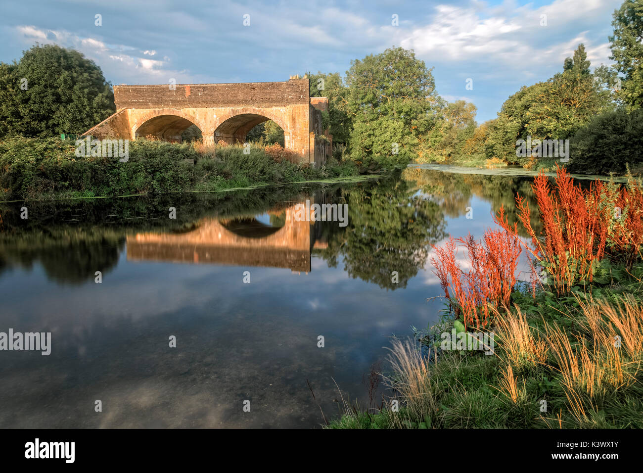 Stour Meadows, Blandford Forum, Dorset, England, UK Stock Photo Alamy