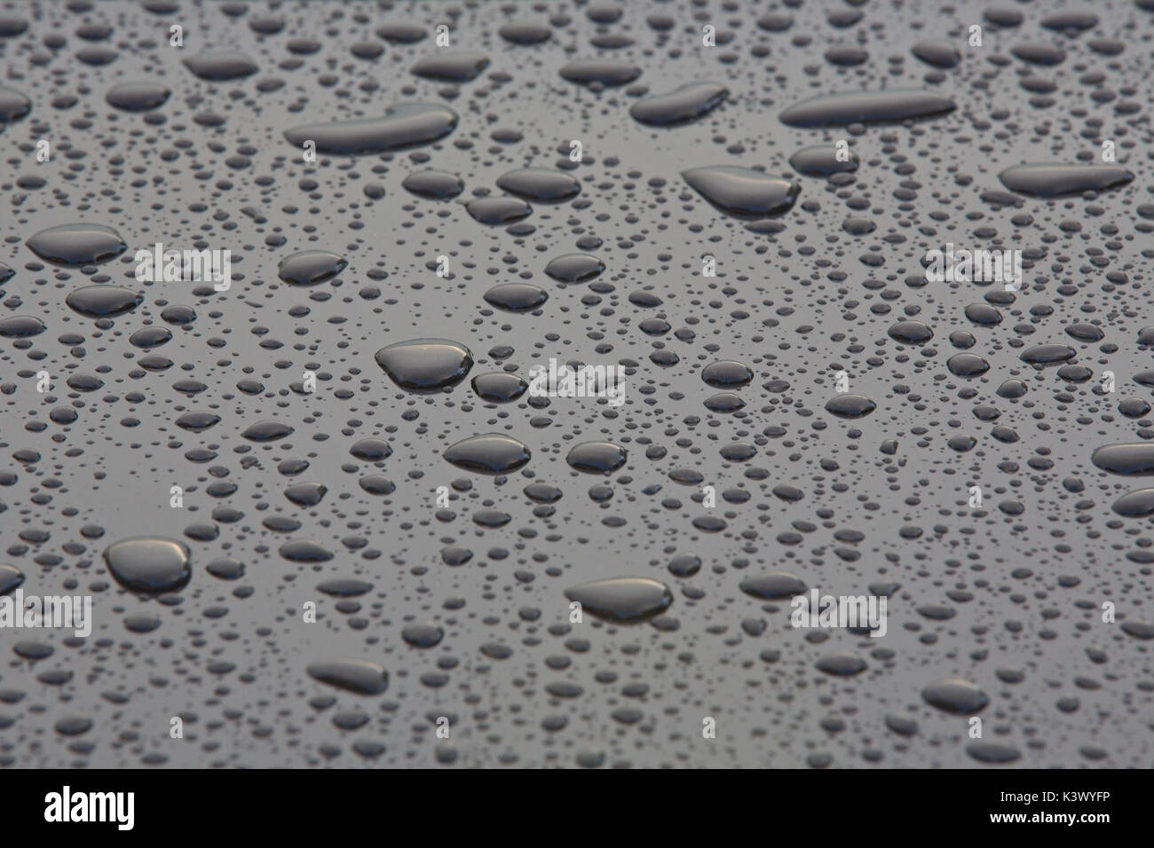 Rain drops on car hires stock photography and images Alamy