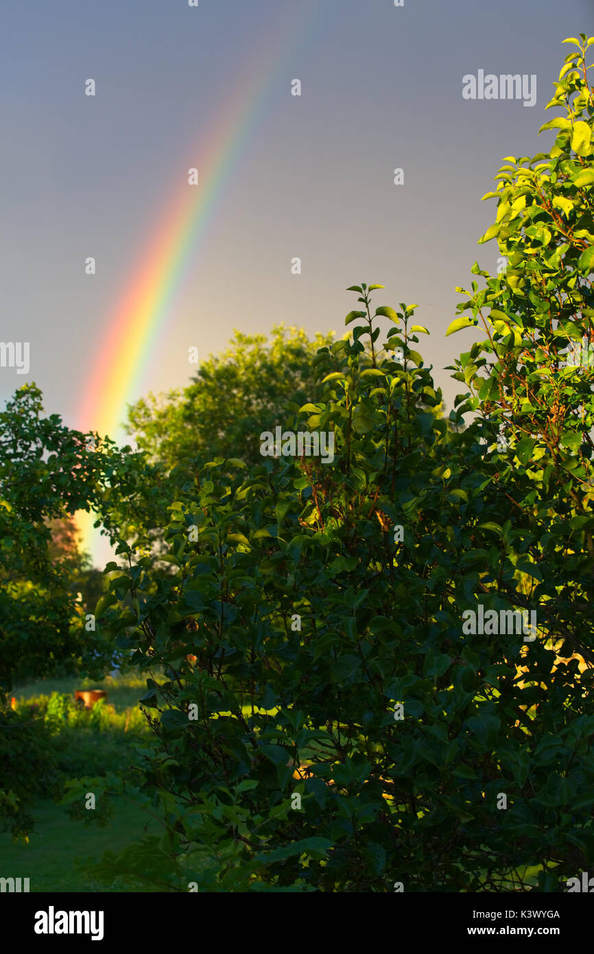 Rainbow illustration rain sun hi-res stock photography and images - Alamy
