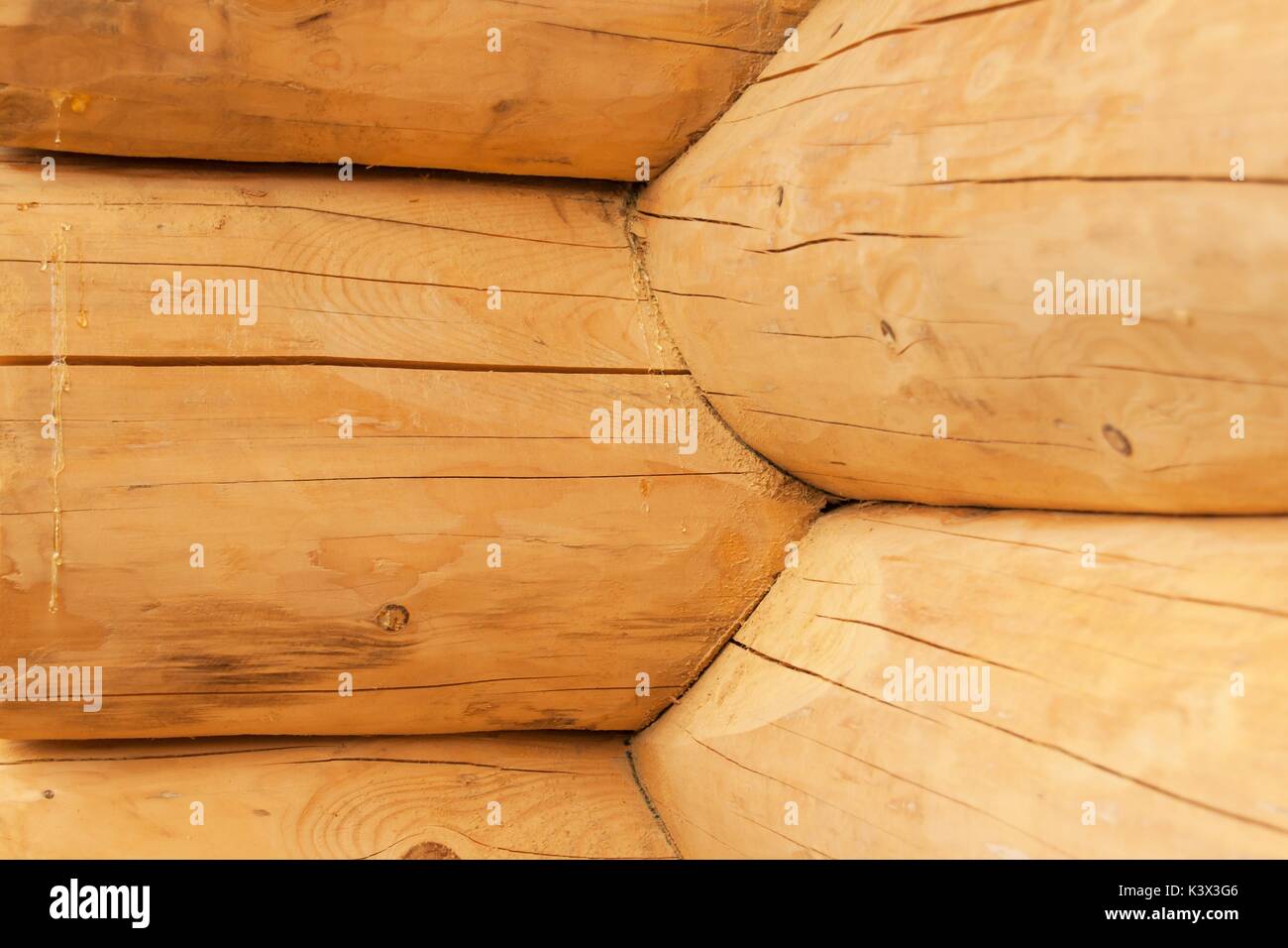 Modern Hand Hewn Natural Log Cabin Wall Facade Frame Texture