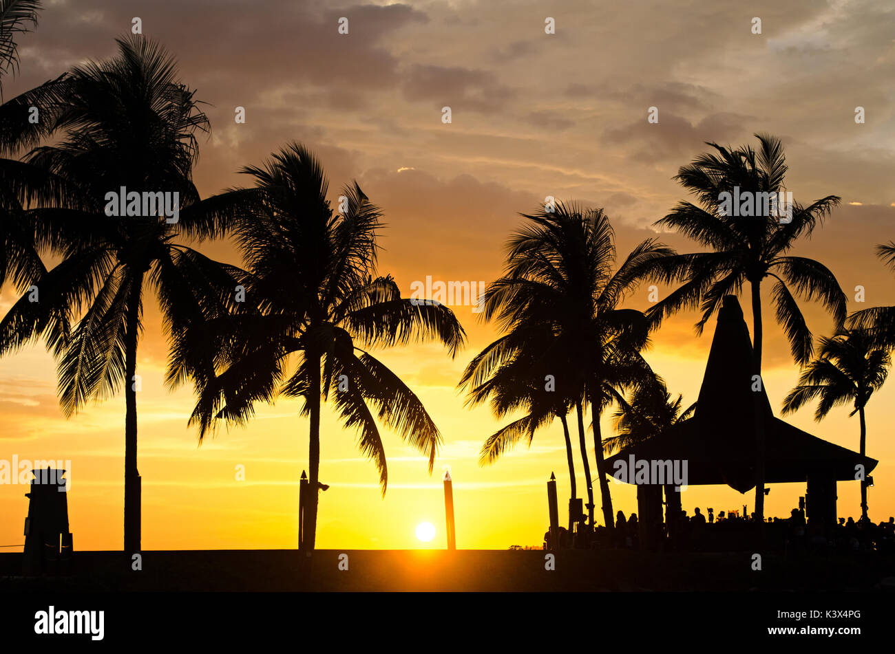 Silhouettes of palm tree during sunset in Kota Kinabalu, Sabah Borneo, Malaysia. Stock Photo