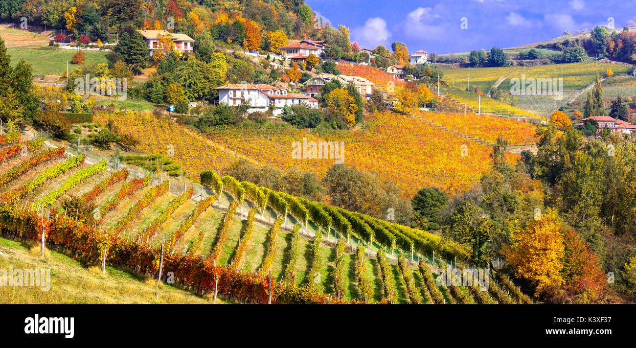 Autumn scenic landscape - golden vineyards of Piedmont - vine region of Italy Stock Photo