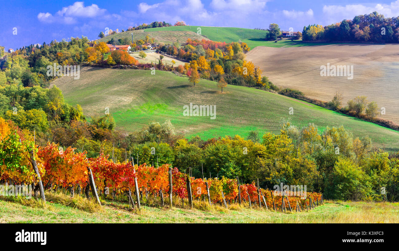 Autumn scenic landscape - golden vineyards of Piedmont - vine region of Italy Stock Photo