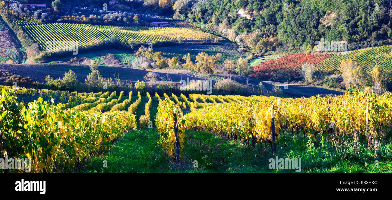 Autumn scenery - golden vineyards of Tuscany - vine region of Italy Stock Photo