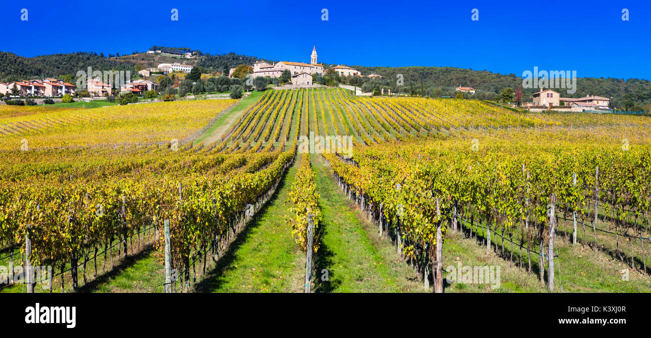 Autumn scenery - golden vineyards of Tuscany - vine region of Italy Stock Photo