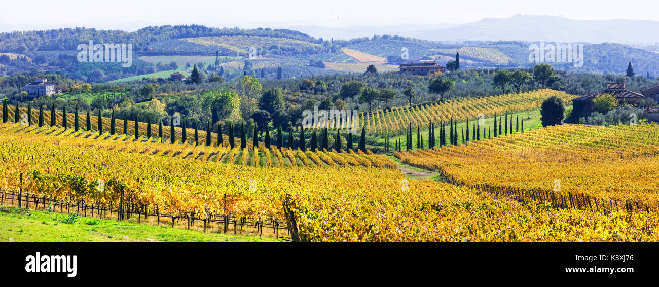 Autumn scenery - golden vineyards of Tuscany - vine region of Italy Stock Photo