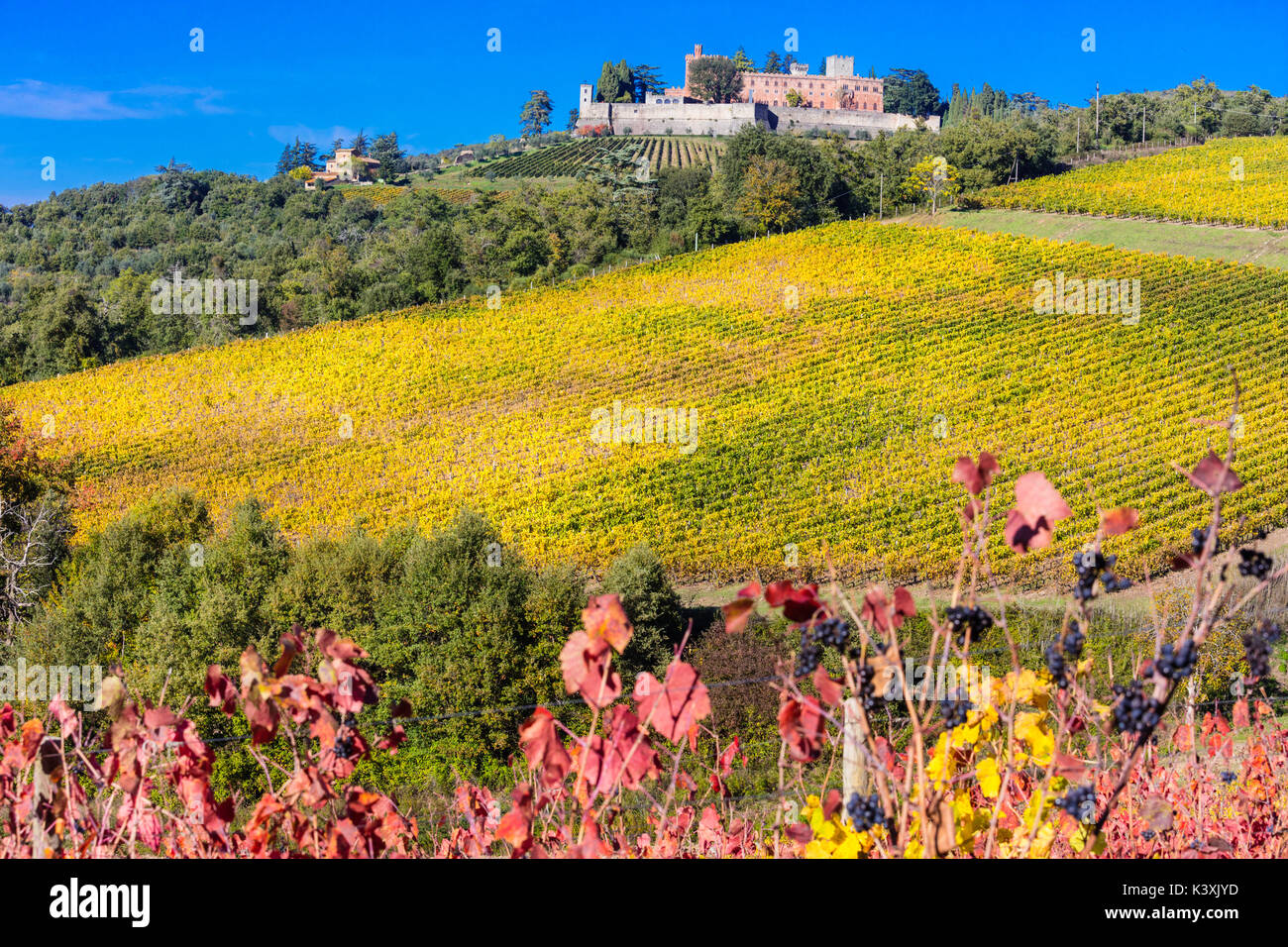 Scenic countryside and landscape of Tuscany - golden autumn vineyards. Castello di Brolio. Italy Stock Photo