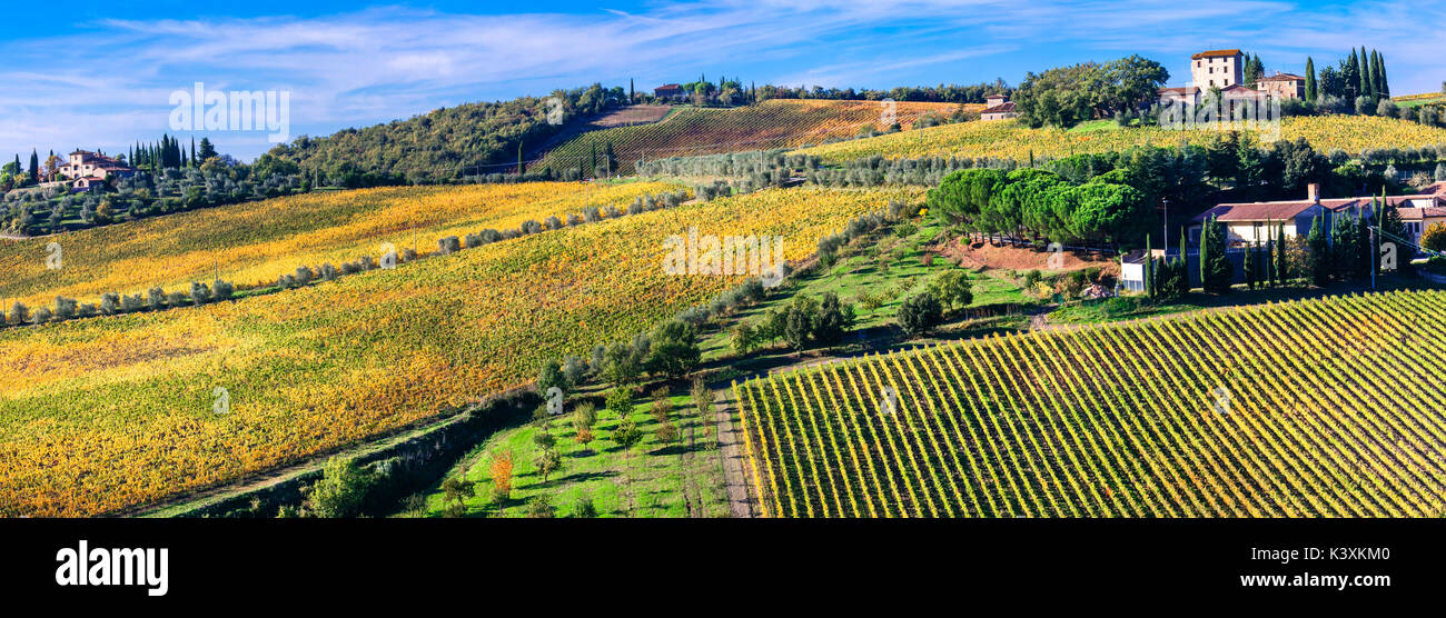 Scenic countryside and landscape of Tuscany - golden autumn vineyards. Italy Stock Photo