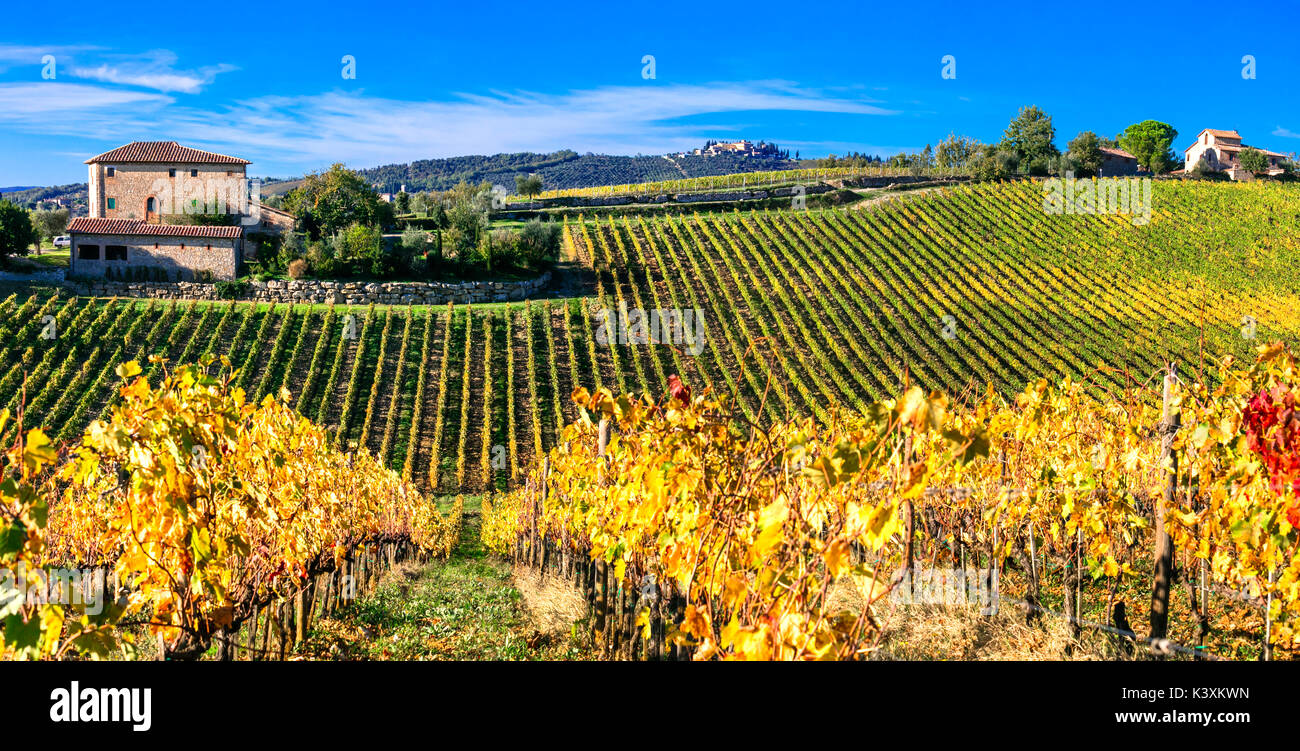 Autumn scenery- golden vineyards of Tuscany. Chianti - main vine region of Italy Stock Photo