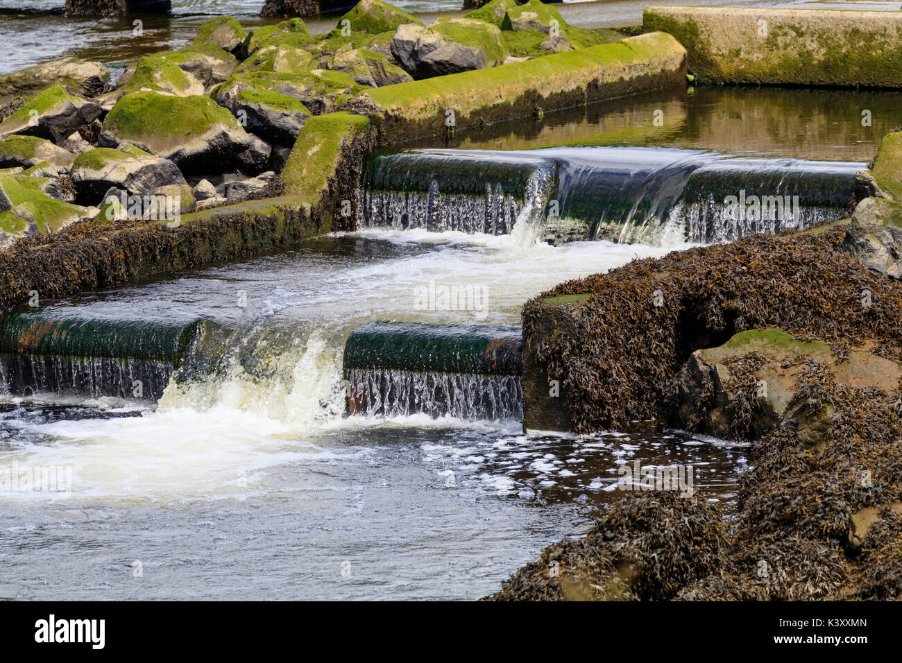 Lower part of the fish ladder at Lopwell dam on the River Tavy, Devon, UK Stock Photo