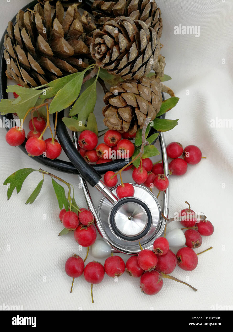 medical christmas cards with berries and pine cones Stock Photo Alamy