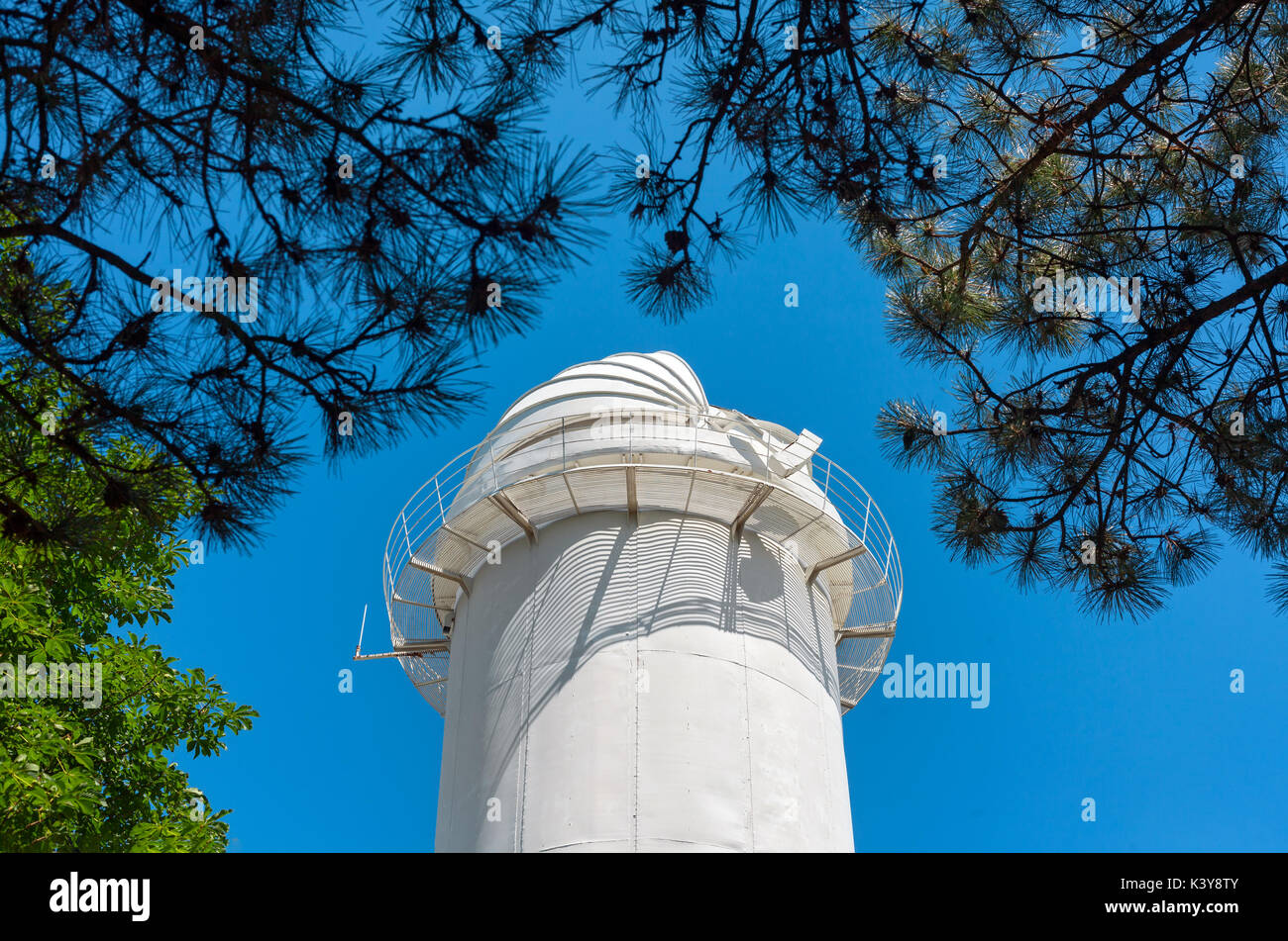 Open dome tower solar telescope through the branches of coniferous trees Stock Photo