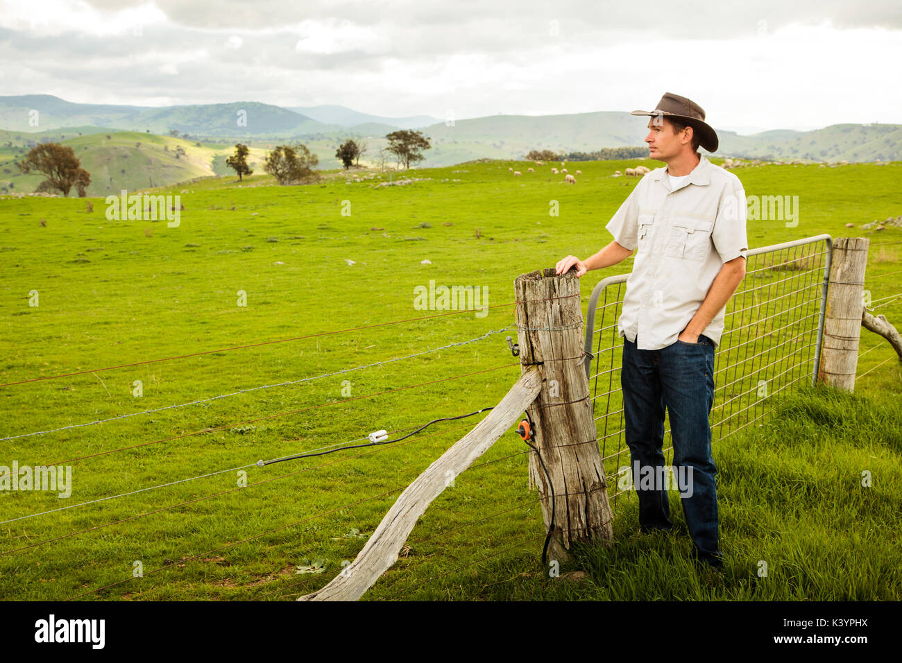 Aussie farmer looking out over a sheep paddock Stock Photo