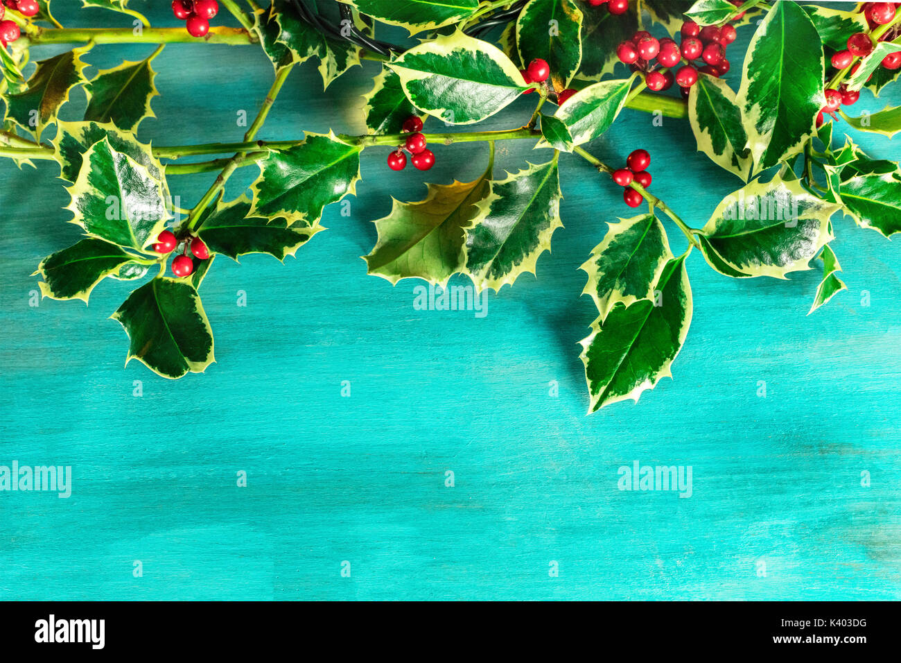 Christmas background with holly leaves and copyspace Stock Photo - Alamy