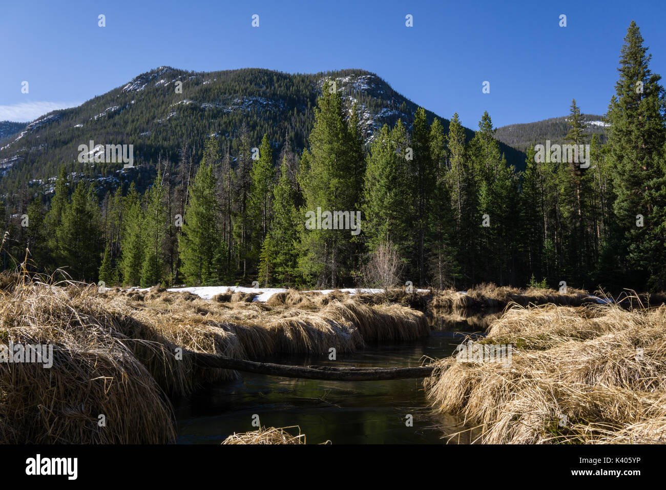 Camp and hike hires stock photography and images Alamy