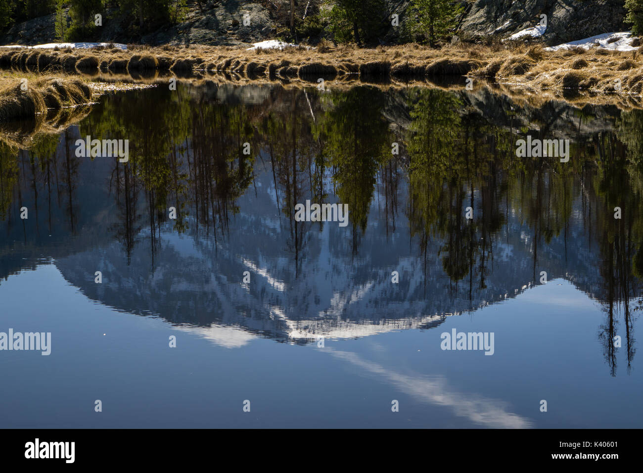 A reflection in the East Inlet, near the Grand Lake entrance to RMNP Stock Photo Alamy