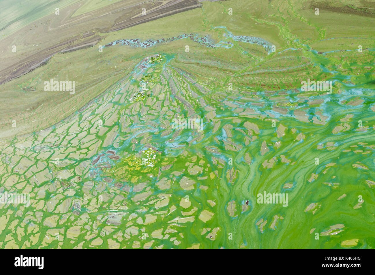 Abstract natural patterns on Ukrainian river Dnepr covered by cyanobacterias as a result of phytoplankton evolution in hot seasons Stock Photo