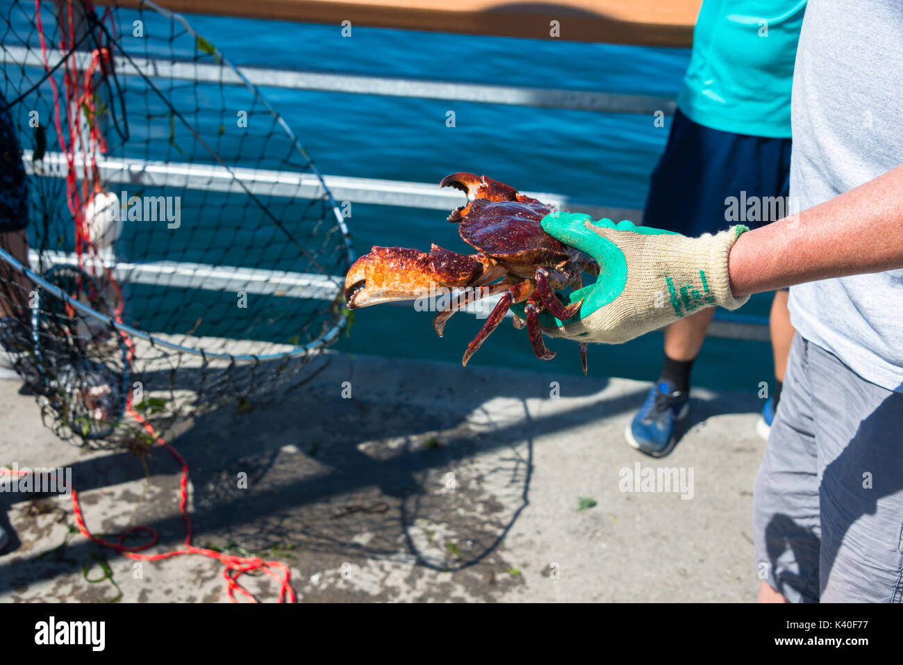 Crab pot hires stock photography and images Alamy