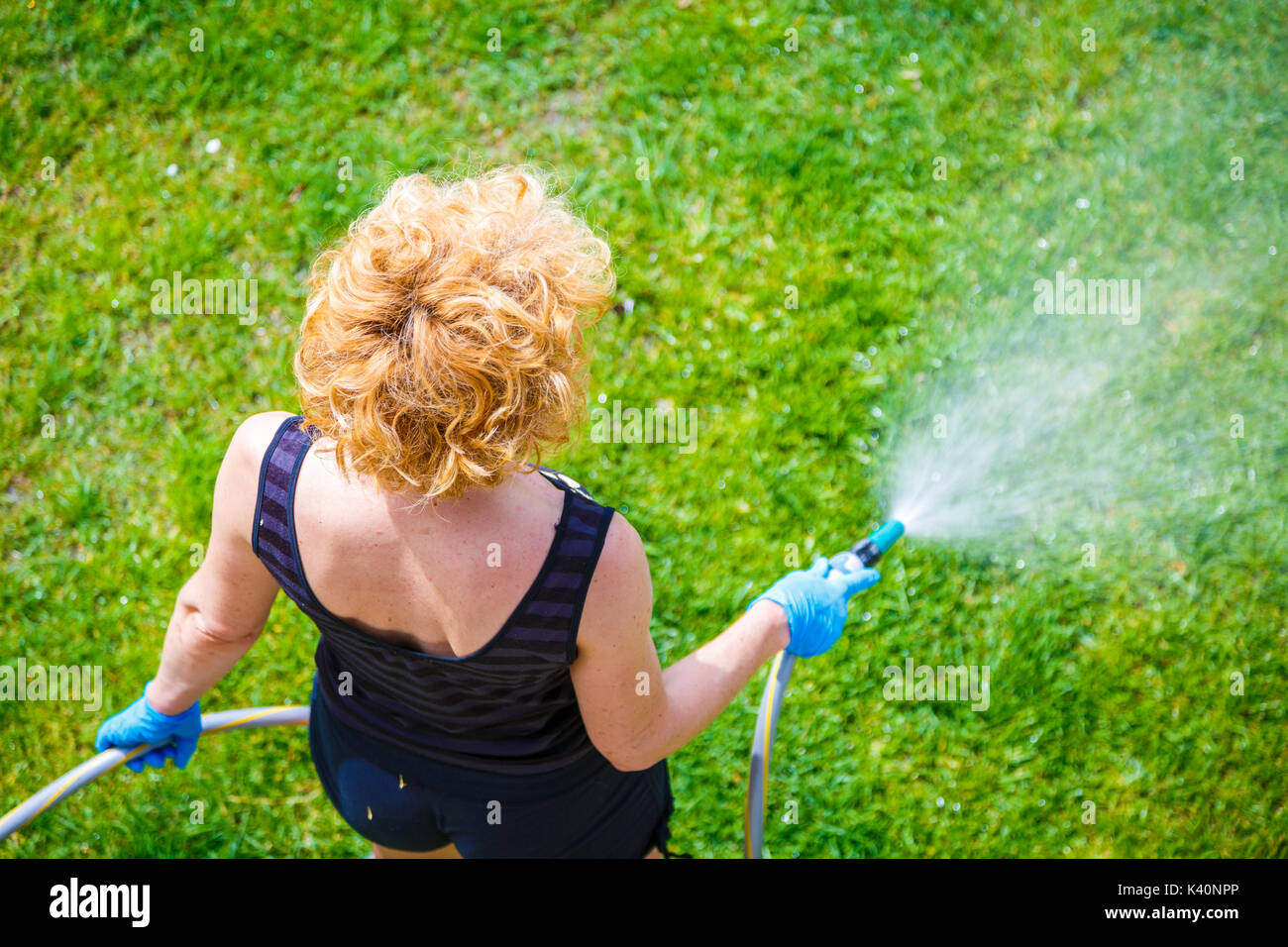 Woman irrigating a garden. Stock Photo