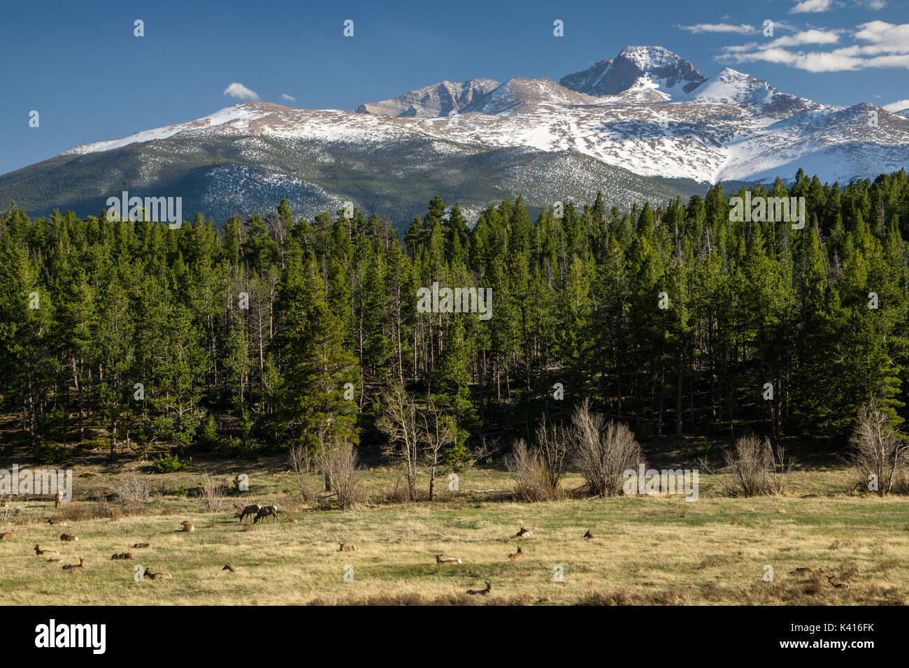 Upper Beaver Meadows, Rocky Mountain National Park. Estes Park Stock