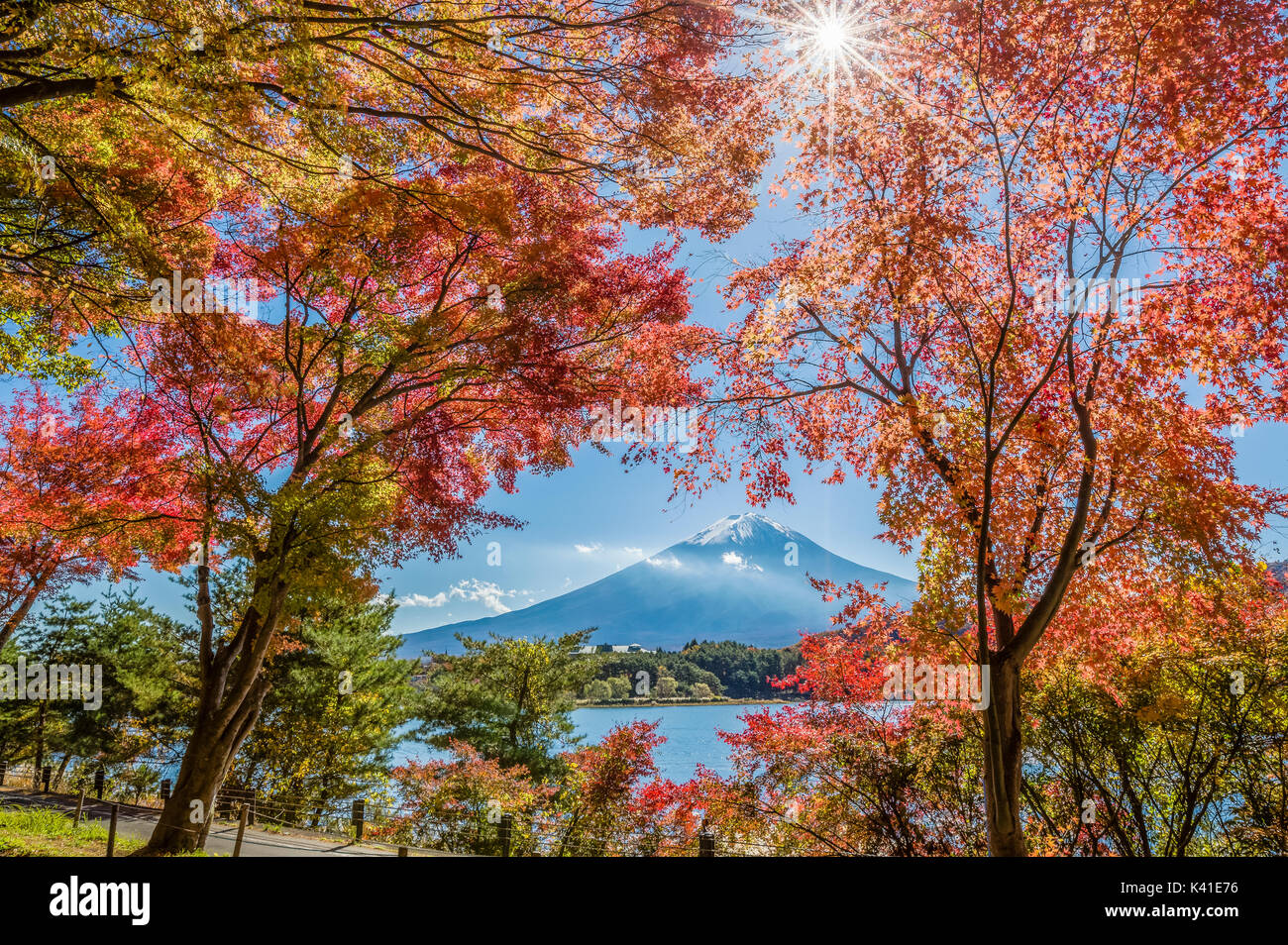 Mt. Fuji and Lake Kawaguchi in autumn, Japan Stock Photo