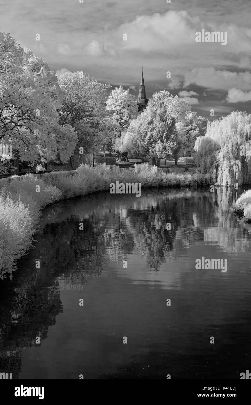 Infrared view along River Tone in Taunton, Somerset, with the spire of St Johns church among the trees. Taken from the footbridge in Goodland Gardens Stock Photo