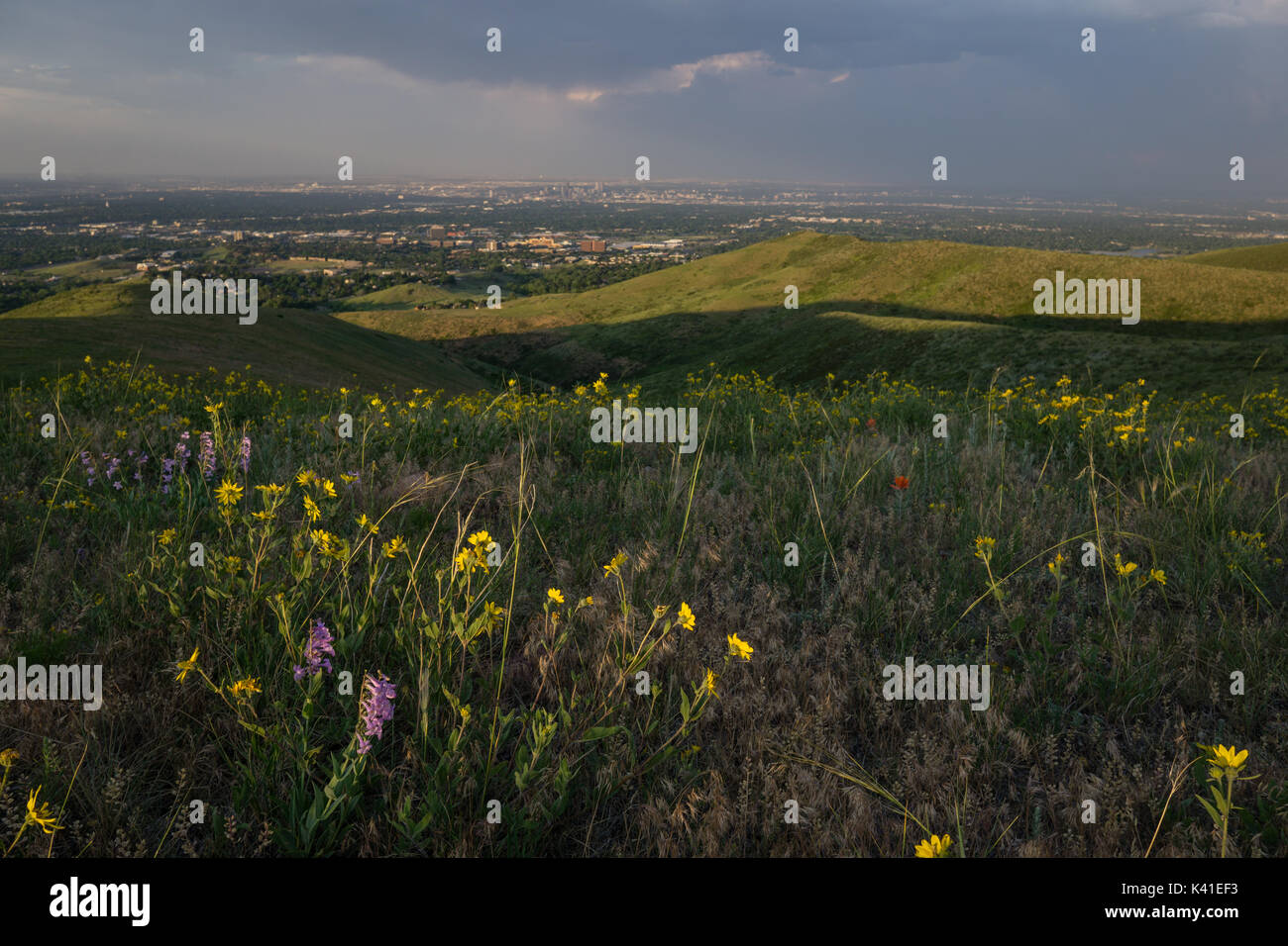 Green Mountain Open Space Lakewood, Colorado Stock Photo Alamy