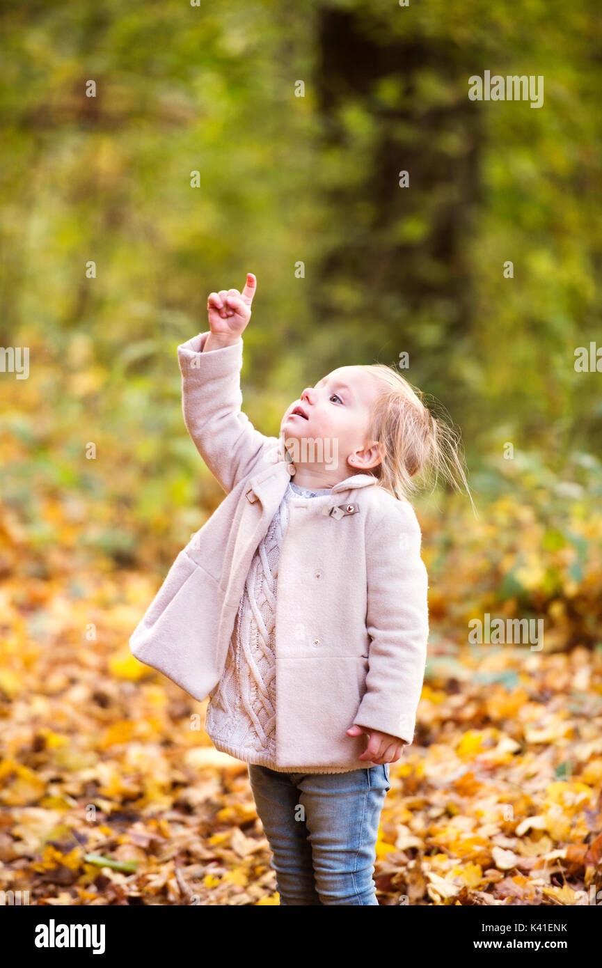 Cute little girl in pink coat in autumn forest Stock Photo - Alamy