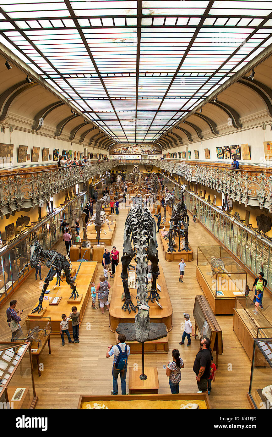 National Museum of Natural History, Paris, France Stock Photo