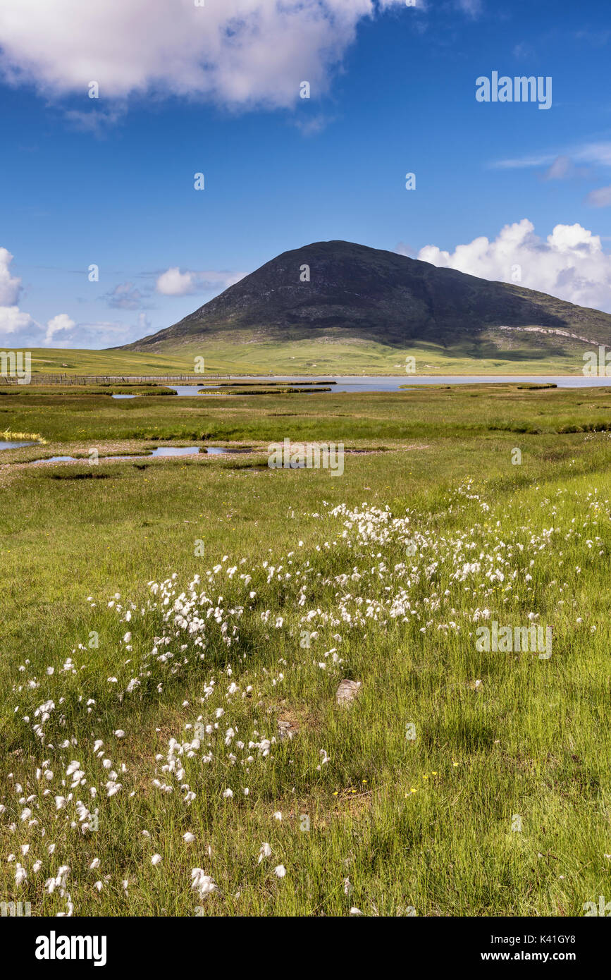 The Scarista salt marshes with Toe Head in the background Stock Photo